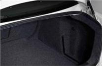 Trunk Trunk