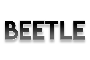 Beetle