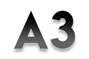 A3