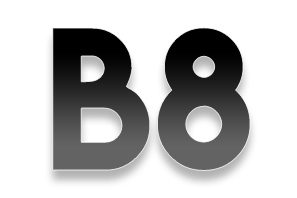 B8/B8.5 S4 3.0t