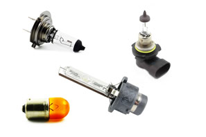 Exterior Bulbs