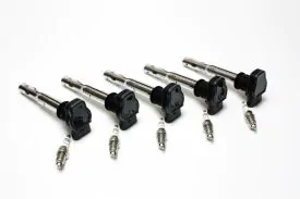 Ignition Kit with Original Equipment Coils and Bosch Plugs - 07K998601FGRP
