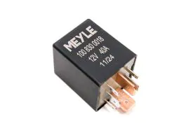 Fuel Pump Relay - 1008300018