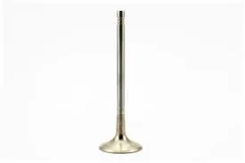 06D109601M - Intake Valve for 2.0T FSI and TSI