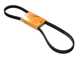 Belt 6DPK X 1195 - 6DK1195 - CONTINENTAL