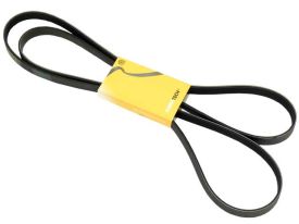 Belt 6K X 2404 - 6PK 2404 - CONTINENTAL