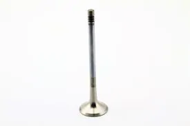 06D109611H - Exhaust Valve for 2.0T FSI and TSI