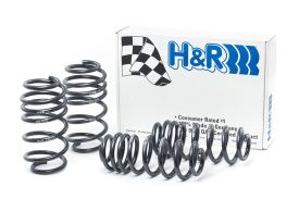H&R Volkswagen B7 Sport Springs