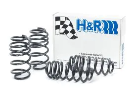 H&R Volkswagen B7 Sport Springs