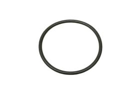 Thermostat O-Ring - 16086000 - AJUSA