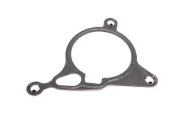 Vacuum Pump Gasket - 70-38936-00 - Victor Reinz