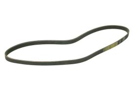 Belt 5K X 1125 - 5K1125 - CONTINENTAL