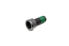 Flywheel Bolt - 9002031 - O.E.M.