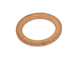 Oil Drain Plug Seal - 1006499 - FISCHER & PLATH