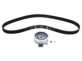 Timing Belt Kit - 5300171100 - INA