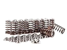 IE MKV 2.5 Cylinder Spring and Retainer Kit