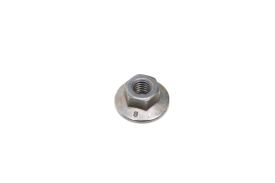NUT - N91189301