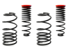 NEUSPEED Sport Spring Kit