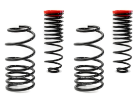 NEUSPEED SofSport Spring Kit