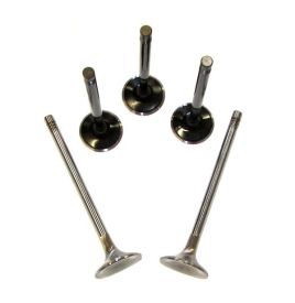 Valve Set, Oversized, 5-valve Audi/VW Motors