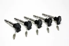Ignition Kit with Original Equipment Coils and Bosch Plugs - 07K998601FGRP