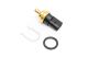 Temperature Switch - 009309331 - Hella