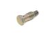 Upper Timing Chain Tensioner Bolt - Genuine VW/Audi - 021109507B