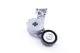 Serpentine Belt Tensioner with Roller