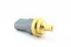 06A919501A - Coolant Temperature Sensor (Grey)