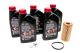 5K Mile Maintenance Kit for 2.0T FSI with Magnetic Drain Plug - 06F198002AGRP
