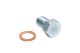 Oil Drain Plug Magnetic (M14 x 1.5) with Copper Washer - 06F198907GRP