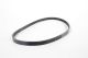 Accessory Drive Belt for 2.5L 5 Cylinder