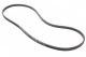 07K145933F - Accessory Drive Belt for 2.5L 5 Cylinder