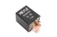 Fuel Pump Relay - 1008300018