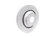 Rear Brake Disc (310x22mm)