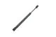 Trunk Shock for MK5 Jetta - 1K5827550C