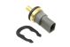 Temperature Switch - 29318 - FEBI BILSTEIN