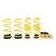 ST Adjustable Lowering Springs | VW MK8 GTI/R (MQBe)