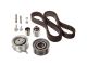 Timing Belt Kit - 5300503100 - INA