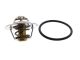 Thermostat - 7.8268 - FACET