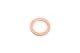 Oil Drain Plug Seal - 41-70089-00 - VICTOR REINZ