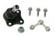 Ball Joint - 14444 - FEBI BILSTEIN