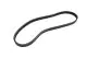 Belt 5PK X 925 - 5K925 - CONTINENTAL