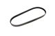 Belt 5PK X 925 - 5PK925 - Mitsuboshi