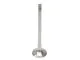 Exhaust Valve - 331126 - TRW