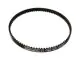 Belt - CT1169 - CONTINENTAL