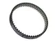 Belt - CT1143 - CONTINENTAL