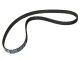Timing Belt - CT1167 - CONTINENTAL