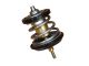 Thermostat - CTI0010 - REIN AUTOMOTIVE