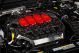 ENGINE COVER, GLOSS FORGED, MK8